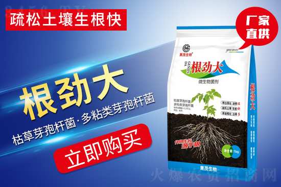 植物生长靠根系!作物根系应该如何养护? 植物生长靠根系!作物根系应该如何养护?