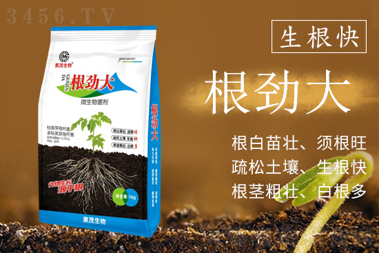 植物生长靠根系!作物根系应该如何养护? 植物生长靠根系!作物根系应该如何养护?